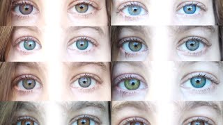 Color Contacts All 12 Freshlooks Color Contact Lenses [upl. by Robins237]