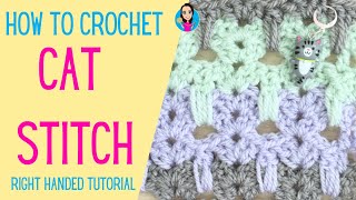 Cat Stitch Crochet  Right Handed Tutorial  UK Crochet Terms  Easy Crochet Stitches [upl. by Noryahs]