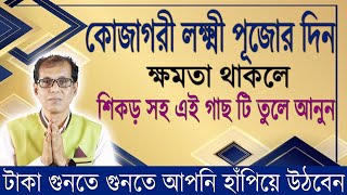 কোজাগরী লক্ষ্মী পূজার দিন শিকড় সহ এই গাছটি তুলে নিয়ে আসুন। টাকা গুনতে গুনতে আপনি হাঁপিয়ে উঠবেন [upl. by Monreal154]