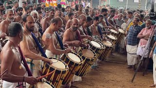 Panchari Melam🔥 Thiruvalla Radhakrishnan  Vrischikolsavam 2024 [upl. by Ermeena707]