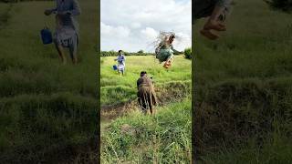 rat hunting farming 🐀amazing humor youtubeshorts [upl. by Nisen331]