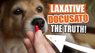 LAXATIVE for DOGS Sodium Docusate 🐶and What You Should Know [upl. by Eyatnod]