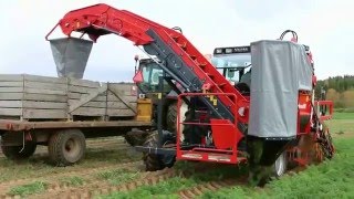 Dewulf P3K Profi  1row mounted top lifing harvester with elevator [upl. by Nuawed]