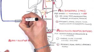 Pharmacology  Antihypertensives [upl. by Neri]