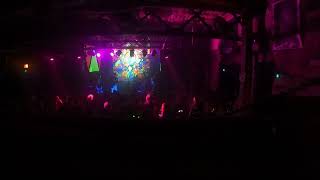 Wookiefoot Live at Reggies in Chicago 110124 Night 1 [upl. by Gemoets]