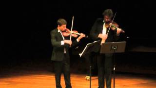 JHaydn Violin Duet in B Flat Major op99 1st movement [upl. by Starla245]