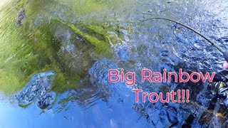 Trout Fishing the CHATTOOGA RIVER [upl. by Dudley251]