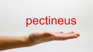 How to Pronounce pectineus  American English [upl. by Annoet]