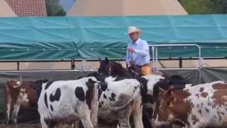 Eurocheval 2014 Western Show quot Cuttingquot [upl. by Lua]