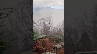 Vosgesmountains hiking alsace vosges randonnée balades baladeenforet montagne celtics love [upl. by Nodnrb]