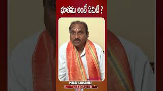 భూతము అంటే ఏమిటి  బ్రహ్మశ్రీ కుంచా వెంకటేశ్వరరావుIndia Next Spiritual [upl. by Asilim]