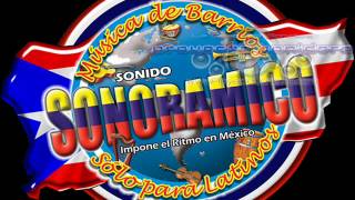 CUMBIA SONORAMICA ACORDEONERA [upl. by Izmar211]