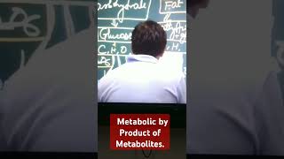 Metabolic Products of Metabolite like Glucose Fatty acid Glycerol ampAminoacid [upl. by Maryann663]