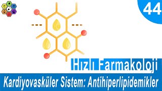 KARDİYOVASKÜLER SİSTEM ANTİHİPERLİPİDEMİKLER  Hızlı Farmakoloji 44 [upl. by Rexfourd]