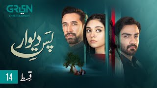 Pas e Deewar Episode 14  Ali Rehman  Noor Zafar Khan  Arsalan Naseer  ENG CC  Green TV [upl. by Naanac900]