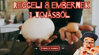 🔴HOGY CSINÁLJUNK REGGELIT 8 EMBERNEK EGY TOJÁSBÓL [upl. by Spalding]