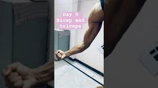 Bicep and Tricep Workout Day 9 in the Gym VLOG [upl. by Notnerb]