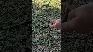 How to Tie and Tension a Tent Rope for Camping with a Secret Knot campingknots knotskill diy [upl. by Jewel889]