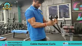 Cable Hammer Curl [upl. by Brindell812]