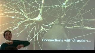 ACT2018 Kathryn Hess — Towards a categorical approach to neuroscience [upl. by Eardnoed]