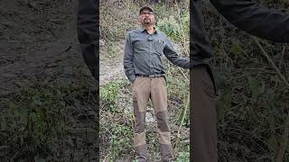 Solution Of Lantana Camara  How To Get Rid From Lantana Camara  Lantana Ka Ilaz  Lantana [upl. by Latoniah]