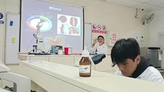 MItosis practica en laboratorio  UCSUR [upl. by Adlesirc]