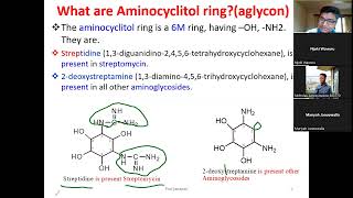 Aminoglycosides Antibiotics Aminocyclitol rings chemical Properties and Structure of Streptomycin [upl. by Eednak]