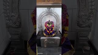 Aani utharam pooja Holland Heerlen limberg murugan Tempel 2024 [upl. by Itraa]