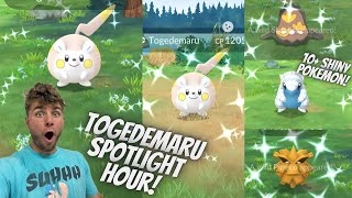 ✨Togedemaru Spotlight Hour In Pokemon Go✨ [upl. by Scheld]