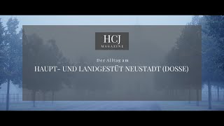 Der Alltag am Haupt und Landgestüt Neustadt Dosse [upl. by Beret]