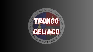 Tronco celiaco [upl. by Dew]