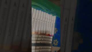 My new marker box Under 500 rs Subscribe for more videos  aqsa  meesho 🌺 [upl. by Cattier]