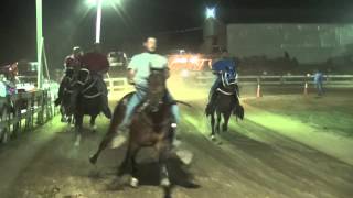 30 MPH Pacing horses  Rockin quotHquot Horse Show 53114 [upl. by Debo]