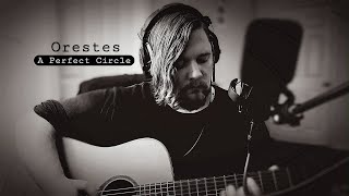 Orestes  A Perfect Circle Acoustic Cover [upl. by Aneral173]