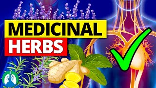 🌱Top 10 Most POWERFUL Medicinal Herbs Backed by Science [upl. by Gnap516]