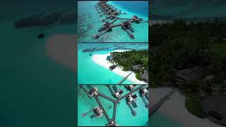 Angsana Velavaru Maldives drone angsana maldives drone arial angsanavelavaru [upl. by Cartwright1]