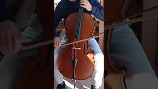 Violoncello modello Stradivari cello music classicalmusic [upl. by Analla]