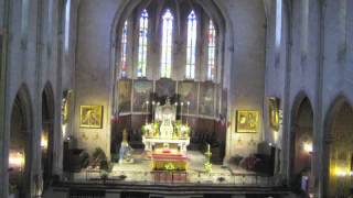 29 Pipe organ Collegiale SaintMichael Castelnaudary France [upl. by Ioves]