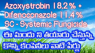 Azoxystrobin 182  Difenoconazole 114 SC  Systemic Fungicide innovativefarmingtelugu [upl. by Reprah]