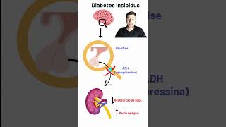 DIABETES INSIPIDUS DE FORMA SIMPLES  shorts diabetes like inscrevase [upl. by Elcin]