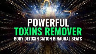 Detox Frequency 528 Hz  741 Hz Frequencies to Remove Toxins [upl. by Debby]