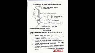 Physiology Of Micturition Notes  PDF shorts [upl. by Dempsey]