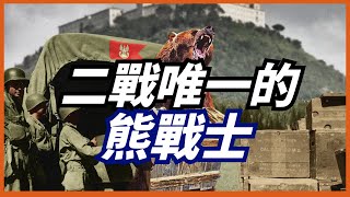 【波蘭戰熊】全球唯一一頭擁有軍銜的熊，曾參加過二戰，喜歡抽煙喝酒摔跤 [upl. by Vijar45]