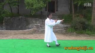 Wudang Tai Chi  Taiji  28 Form [upl. by Aleiram744]