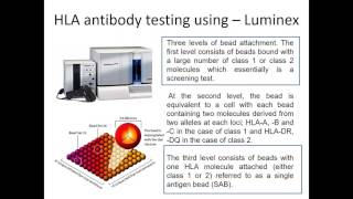 Immunological assissment of KTX [upl. by Ogdon402]