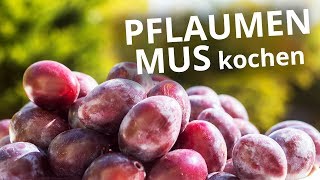 Pflaumenmus ohne Rühren selber machen  mit Rezept [upl. by Debra472]