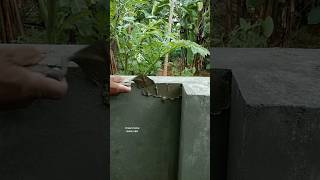 cement pasting before plastering youtubeshorts shortvideo shortfeed [upl. by Ainoek]