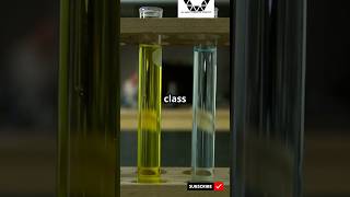 Formation of Oxime🐤 chemistry success shorts [upl. by Gnut]