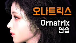 오나트릭스ornatrix 연습 3DS MAX AND ORNATRIX HAIR [upl. by Neillij]