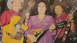 Los Patrulleros Del Norte quotAmor de Mis Amoresquot Jose Moreno fiddle [upl. by Assyla]